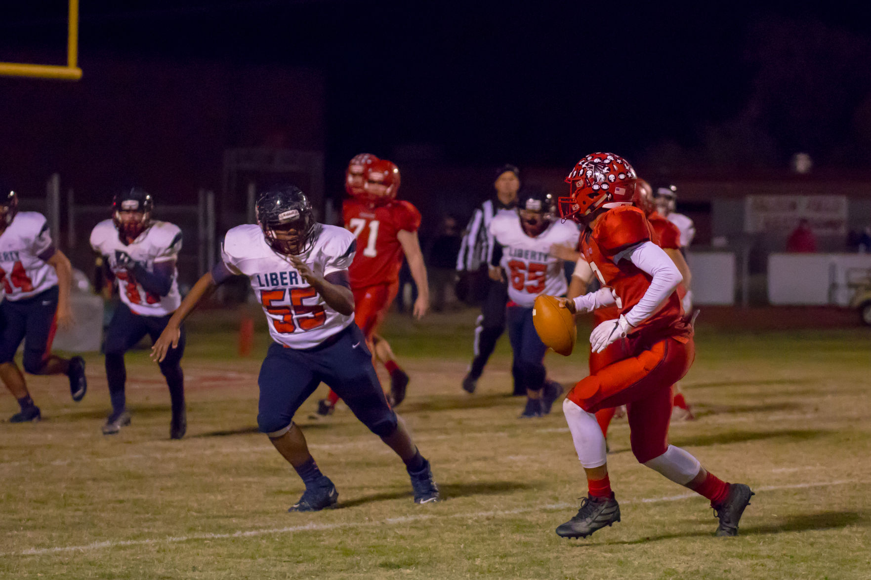 B_LHS_Foot_FHS_Foot_Bird_Bowl_2838